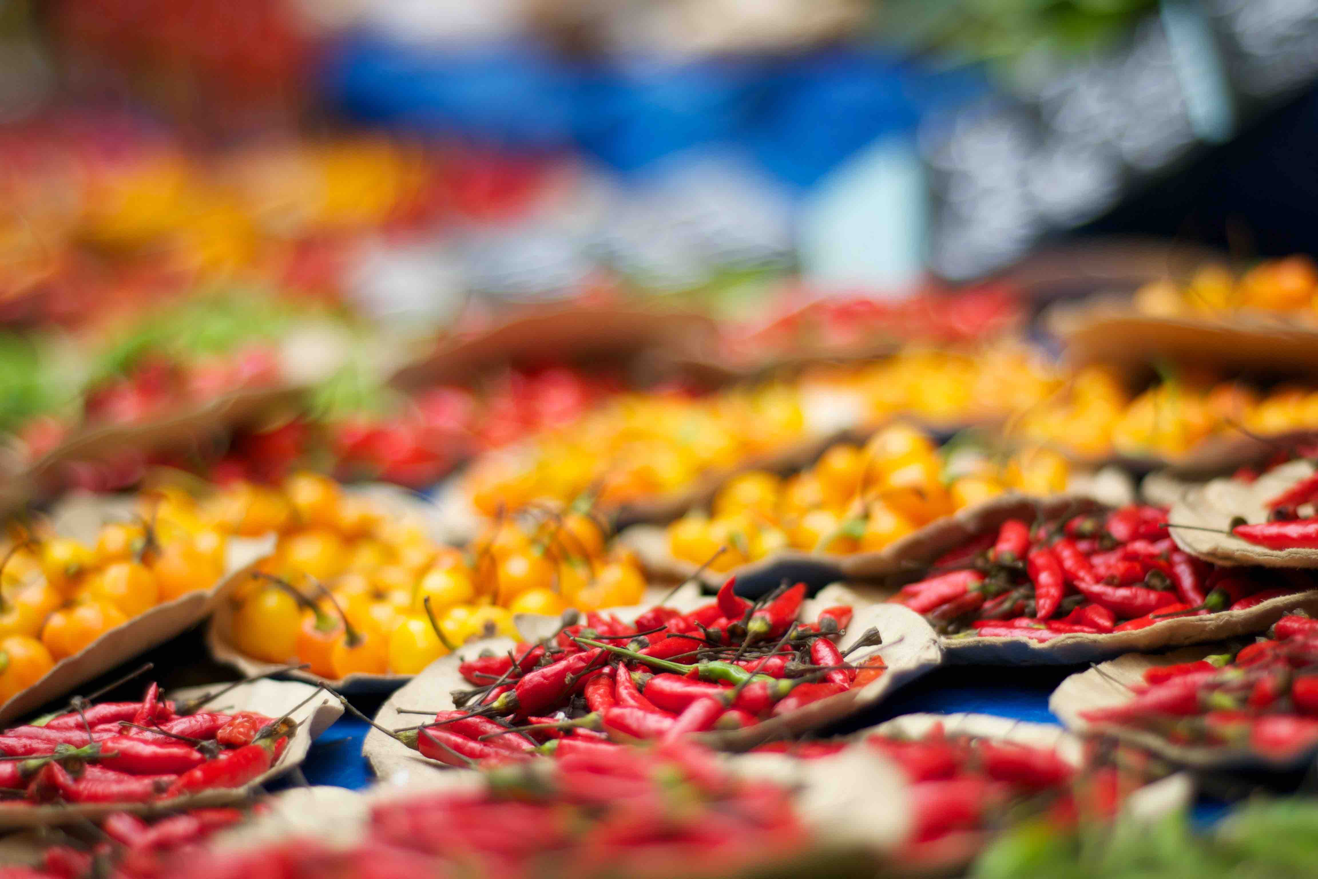 A picture of red and orange chilli peppers